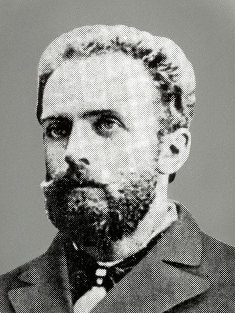 化石 モノチス モノティス 三畳紀 中生代 示準化石 志津川町 皿貝層群もの